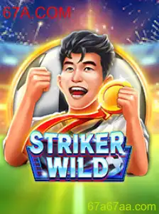 Desvendando o Mundo de StrikerWILD